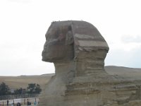 Sphinx -01